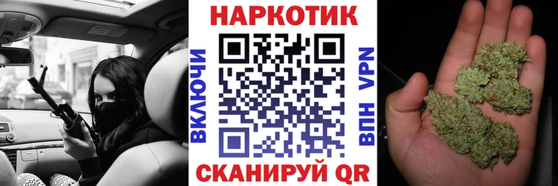 Меф Гатчина