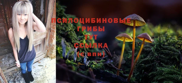 марки lsd Богородск