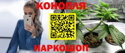 индика Бузулук