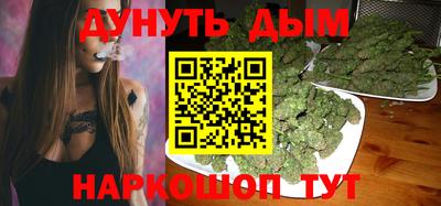сатива Будённовск