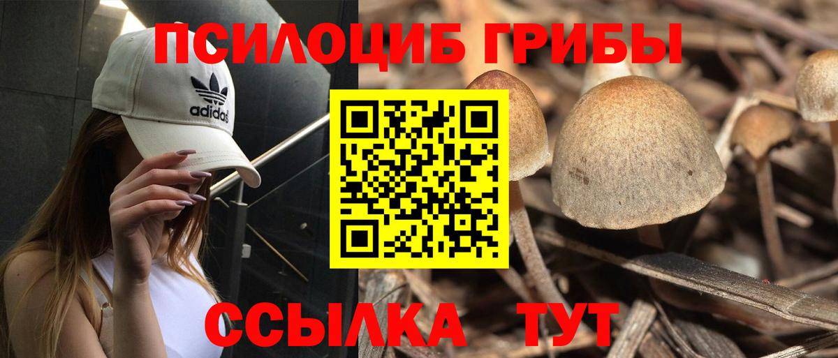 Гатчина  Псилоцибиновые грибы мухоморы  Вход с VPN  Галлюциногенные грибы MAGIC MUSHROOMS 