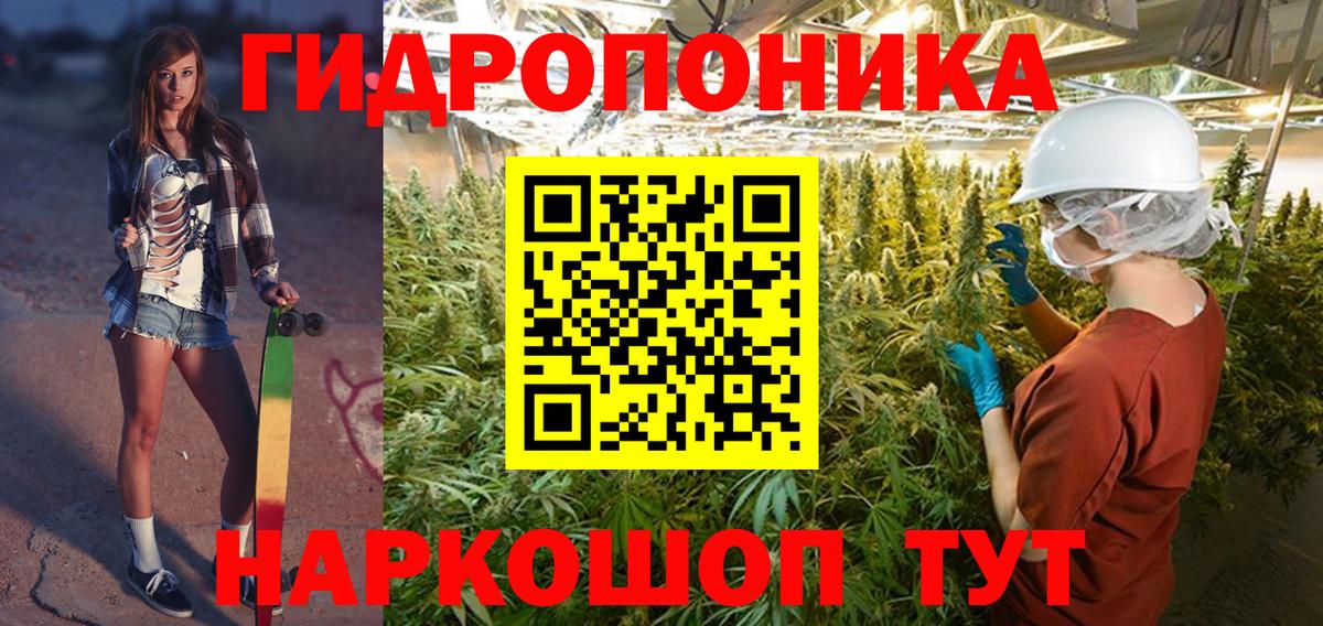 Бошки марихуана конопля  Шишки марихуана семена  Бошки марихуана тримм  Бошки марихуана OG Kush  Гатчина  Вход с VPN 