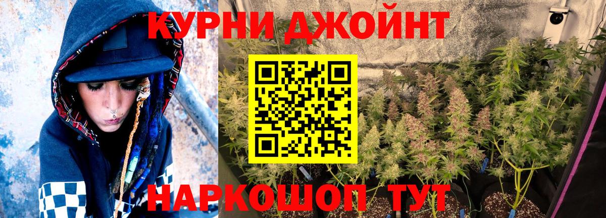 МАРИХУАНА ГИДРОПОН Гатчина